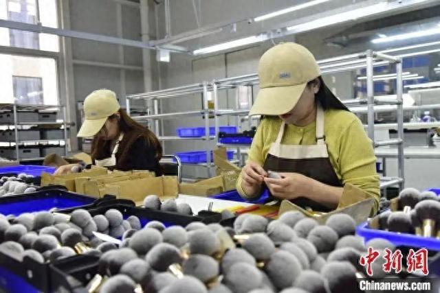 真有“两把刷子”！冰球突破豪华版沧州(图9)
