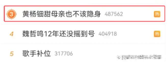 上热搜胡锡进搅浑水被网友骂惨！冰球突破豪